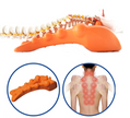 Spine Relief Frame, Neck Massage Pillow, Back Traction Device