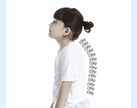 VibraPosture Smart Trainer